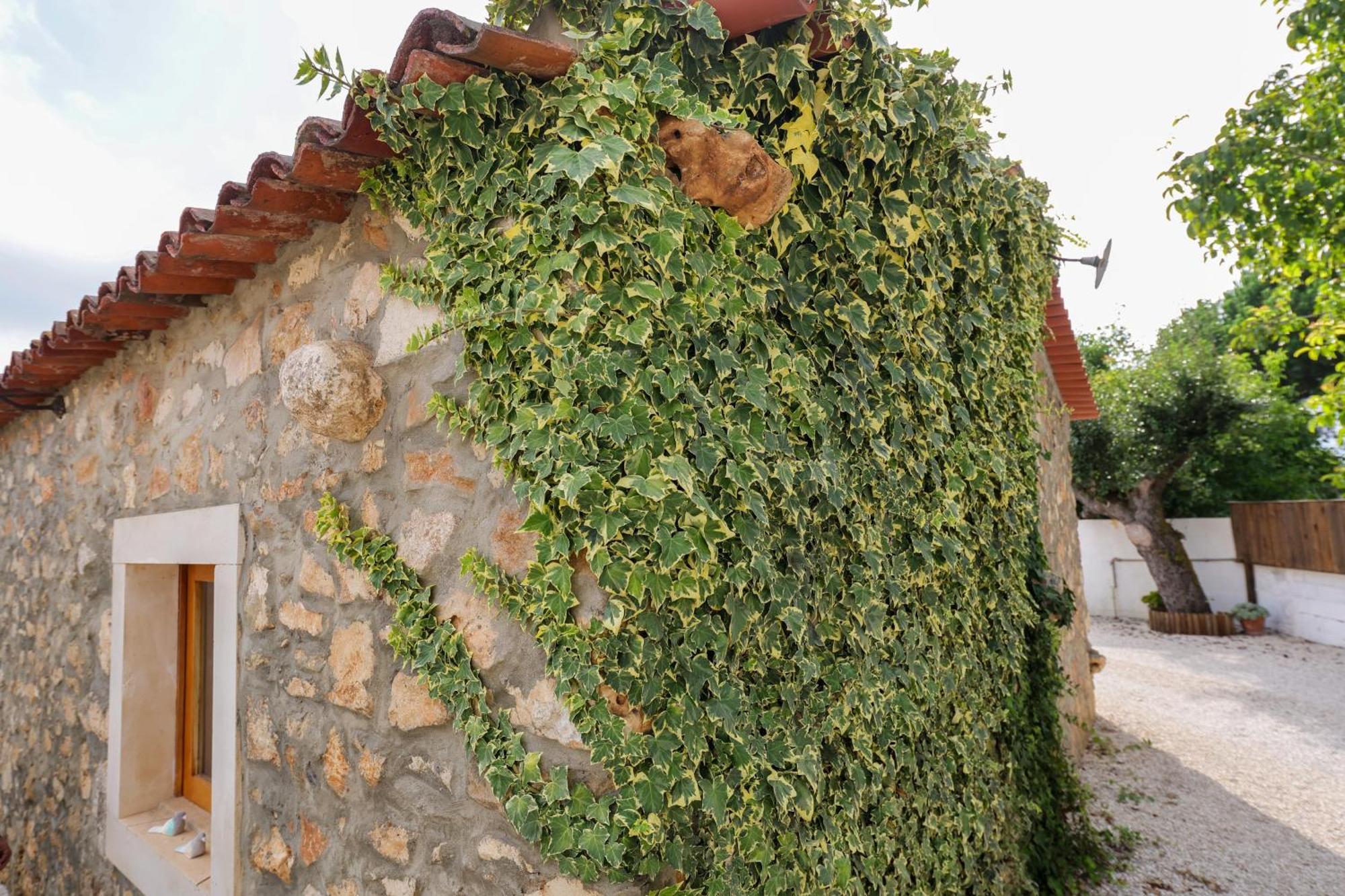 Villa Renovated Wine Press House - With Pool Porto de Mós Exterior foto